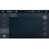 pantalla coche Ford Tourneo