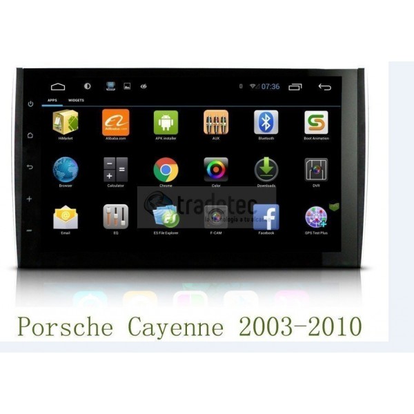 GPS Cayenne