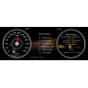 Pantalla cuadro mandos digital Toyota Rav4 (2017 - 2020) TR3758