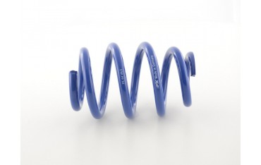 FK racing spare part main spring for FK coilovers VA spring