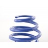 Spare spring racing main spring Rear