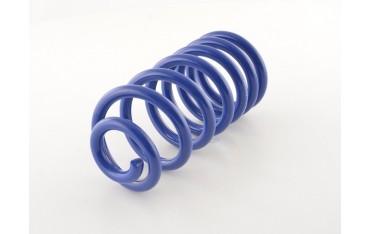 FK racing spare part main spring for FK coilovers HA spring