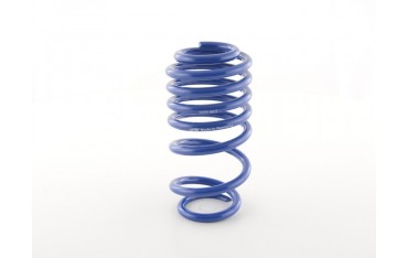 FK racing spare part main spring for FK coilovers HA spring