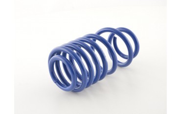 FK racing spare part main spring for FK coilovers HA spring