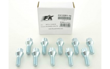 Wheel bolt set 10 pieces tapered collar shaft length 45mm M12x125 silver