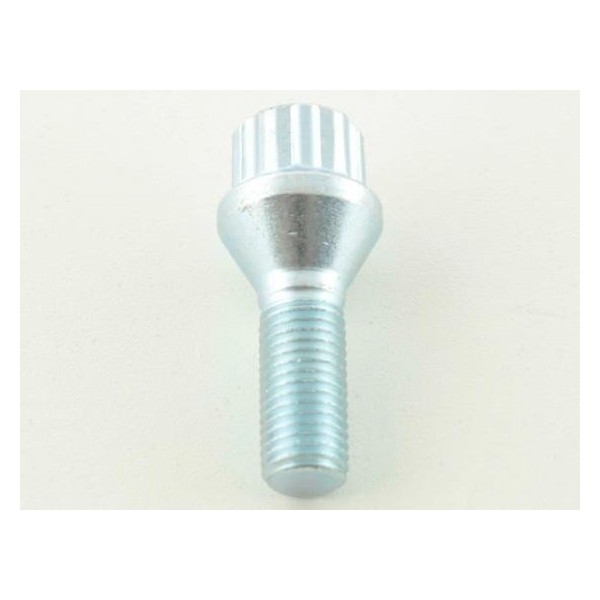 Wheel bolt set 10 pieces tapered collar shaft length 45mm M12x125 silver