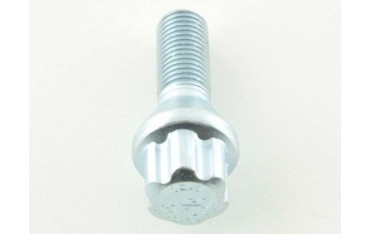 Wheel bolt set 10 pieces tapered collar shaft length 45mm M12x125 silver