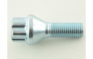 Wheel bolt set 10 pieces tapered collar shaft length 45mm M12x125 silver