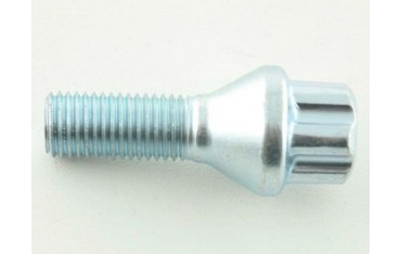 Wheel bolt set 10 pieces tapered collar shaft length 45mm M12x125 silver