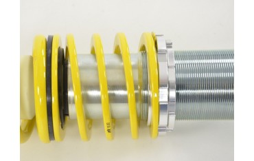 FK coilover kit for Renault Twingo C06 1993 2007