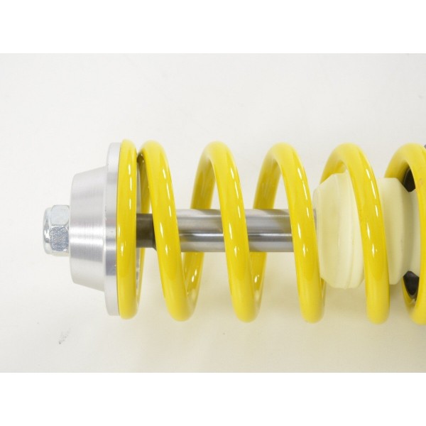 FK coilover kit for Renault Twingo C06 1993 2007