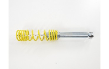 FK coilover kit for Renault Twingo C06 1993 2007