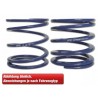 FK racing spare part main spring for FK coilovers spring