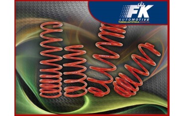 Lowering springs Skoda Fabia 6Y VA HA approx 40 mm