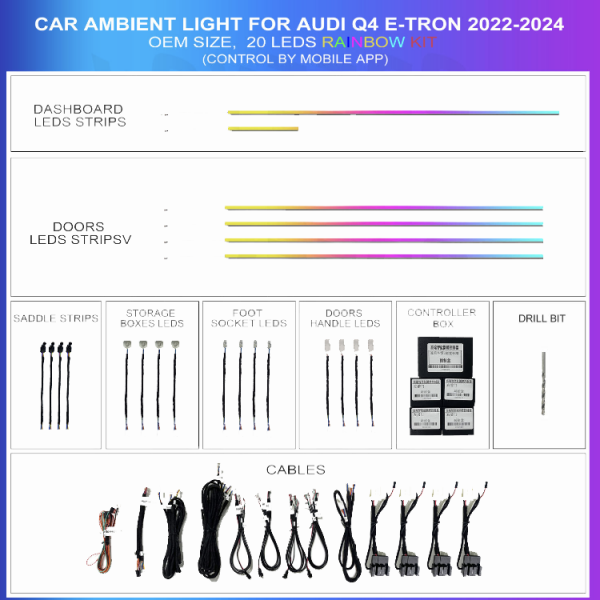 Kit Iluminación Ambiental Audi Q4 E-Tron 2022-2024 20 LEDs Rainbow OEM | TR4591