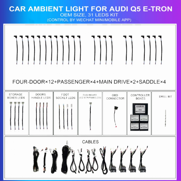 Kit Iluminación Ambiental Audi Q5 E-Tron 31 LEDs OEM | TR4592