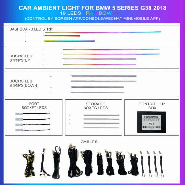 Kit iluminación ambiental BMW Serie 5 G38 2018-2023 19 LED RGB TR4626 1