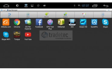 gps Citroen C Crosser head unit