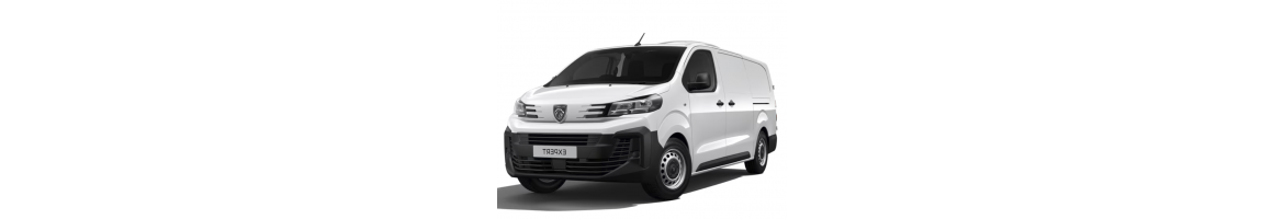 Mejor Radio DVD y Navegador GPS para Peugeot Expert | Tradetec