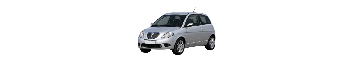 GPS head unit Lancia Ypsilon - Android radio Ypsilon