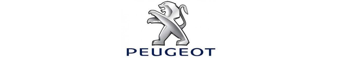 Cuadros digitales Peugeot y velocímetros | TradeTec