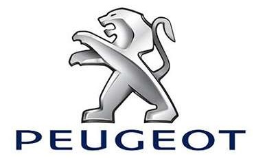Cuadro digital Peugeot