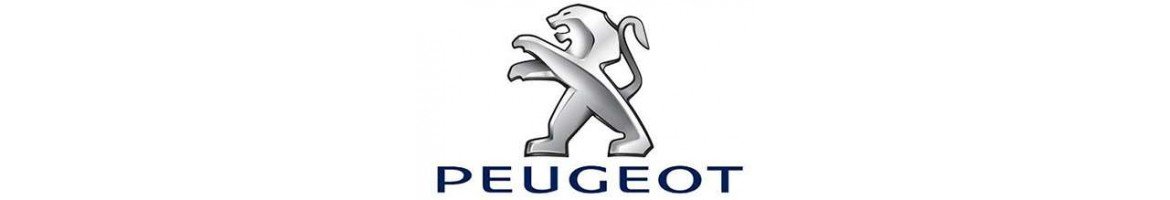 ✔ Radio DVD para Peugeot | GPS | Bluetooth | Android – Tradetec