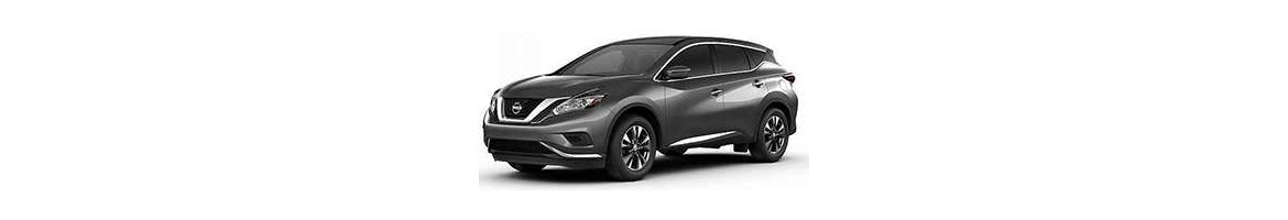 Nissan Murano  Radio DVD | GPS | Bluetooth – Tradetec