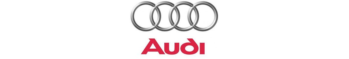 Cámara trasera aparcamiento Audi