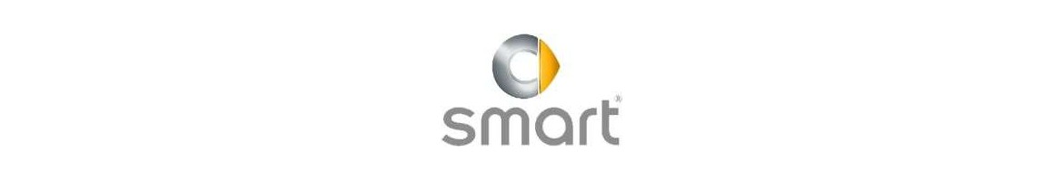 marco adaptador smart