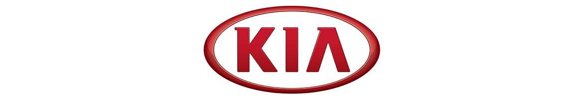 Gran variedad en luces diurnas para Kia