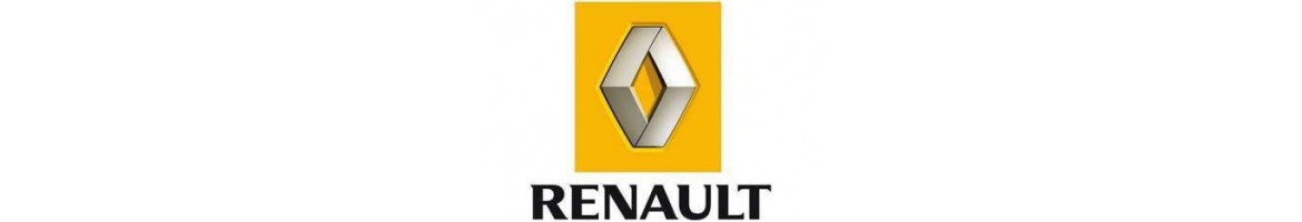 Wide variety of daytime running lights for Renault