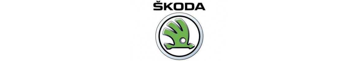 Gran variedad en luces diurnas para Skoda