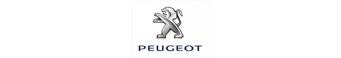✔ Amortiguadores para Peugeot – Suspensiones